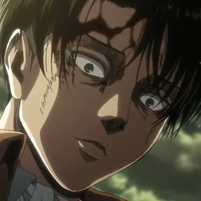 Levi Ackerman