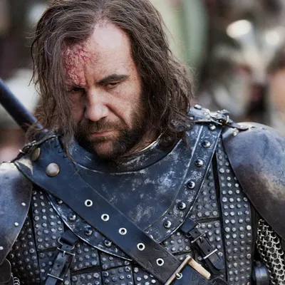 Sandor Clegane | Arranged