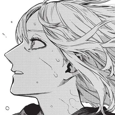 Rei Todoroki