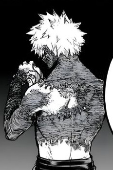 Toya Todoroki | Dabi