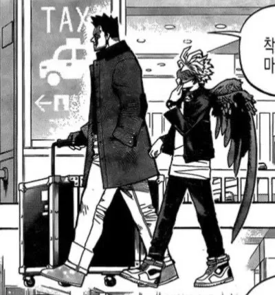 Enji Todoroki & Keigo Takami | Endeavor & Hawks