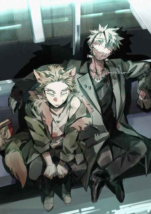 Toya Todoroki and Keigo Takami | DabiHawks