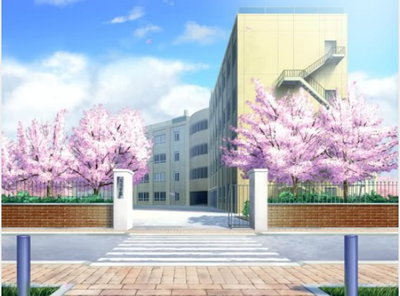 M sensei