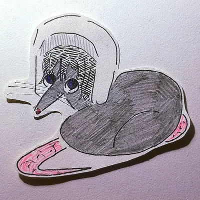ACTUAL REAL RAT Fyodor Dostoevsky