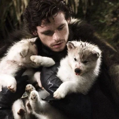 Robb Stark