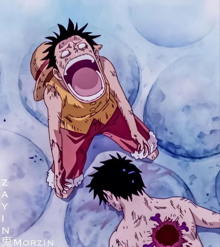 Luffy 