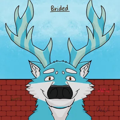 Dear deer-fox