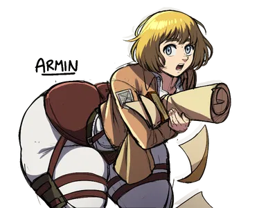 Armin (BWL)