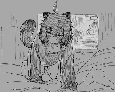 Momo | Approach