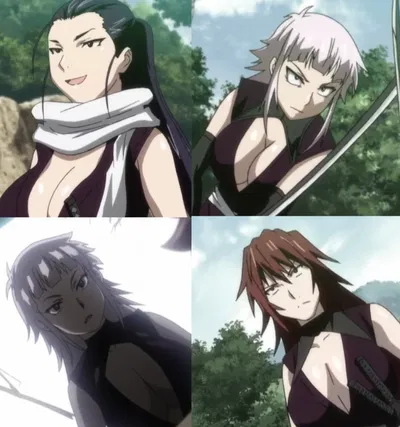 Kirino, Yasha, Kagerou, and Kasumi, the Manyuu Assassin Squad