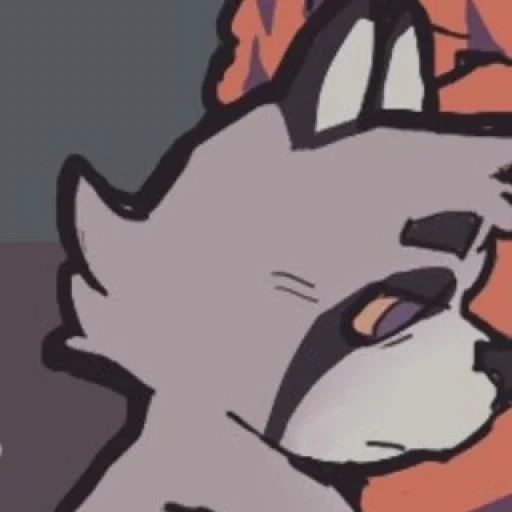 Booker T. Raccoon