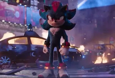 《Shadow the hedgehog》