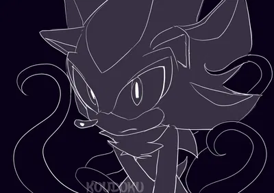 《Shadow the hedgehog》