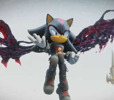 《Shadow the hedgehog》