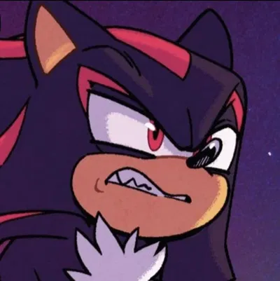 《Shadow the hedgehog》