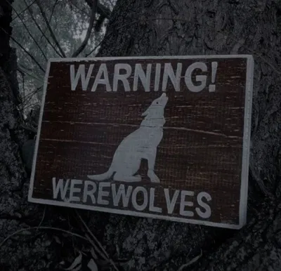 All Male Werewolf Pack | Omega verse