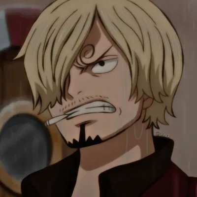 Vinsmoke Sanji