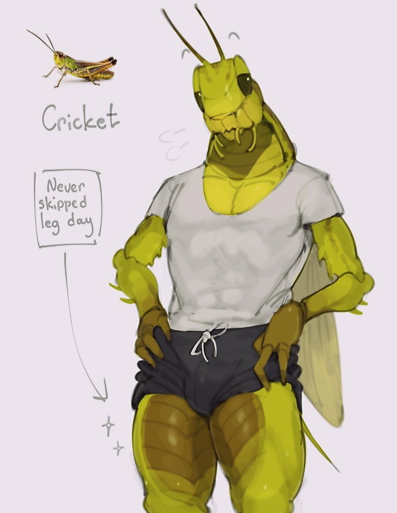 Cricket