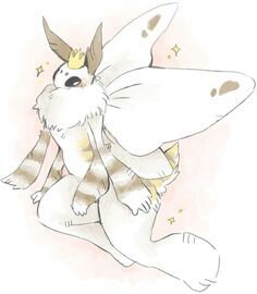 Kori-The female furry moth