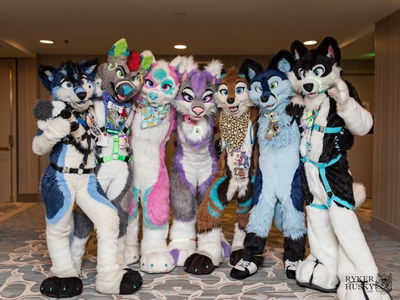 The furry con 