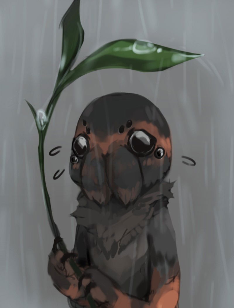 Furry spider boy
