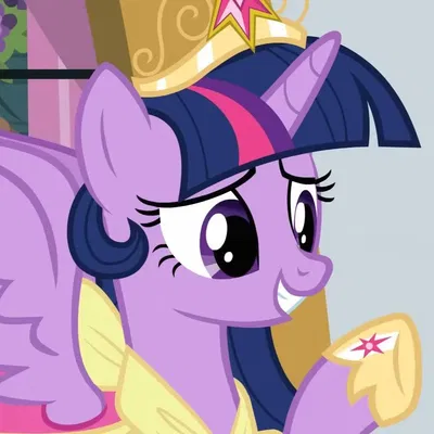 - Twilight Sparkle -