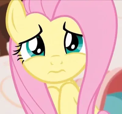 - Fluttershy -