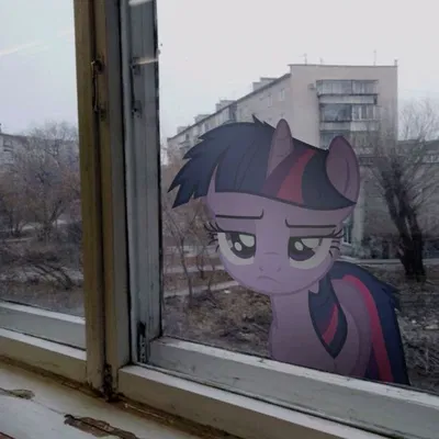 - Twilight sparkle -