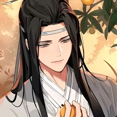 Lan Wangji 