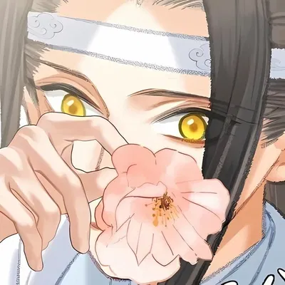 Lan Wangji 