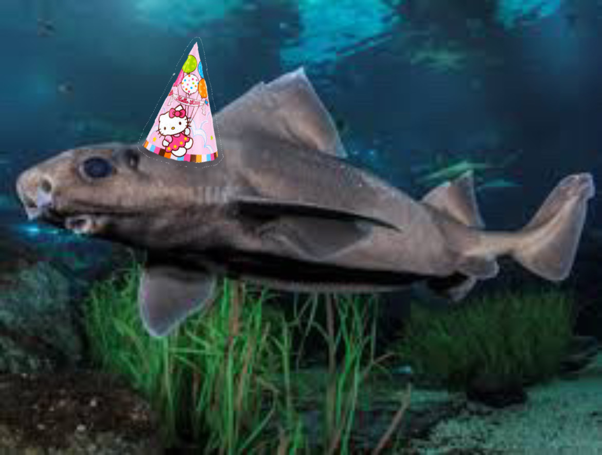 It my brithday