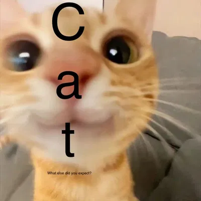 Hello, I would like a suggestion.