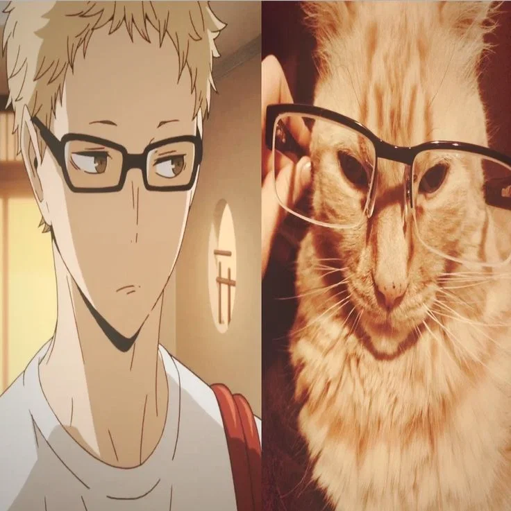 Kei Tsukishima 