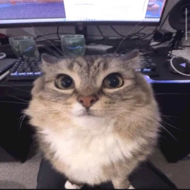 i need ur help