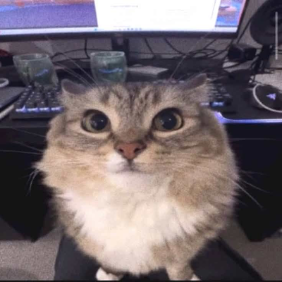 i need ur help
