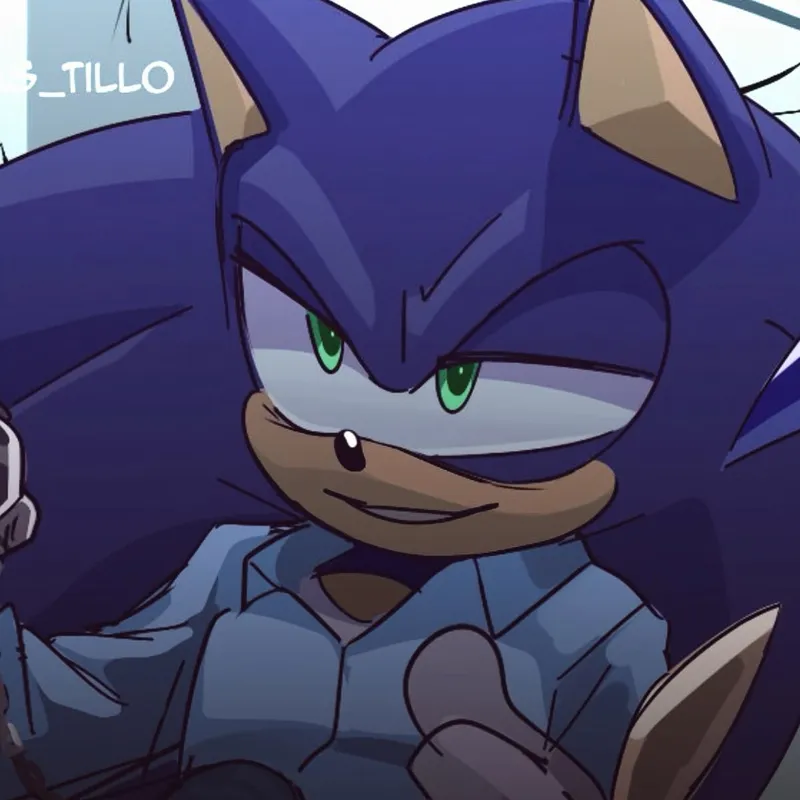 Sonic the hedgehog 