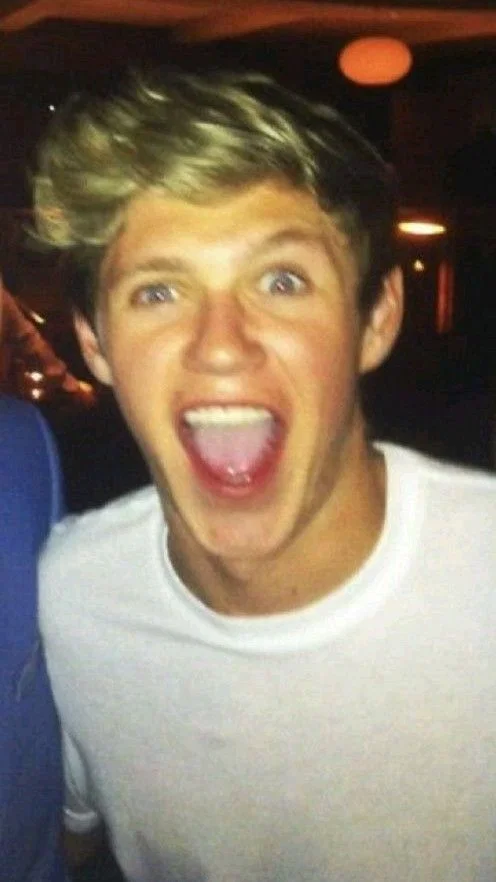 Niall Horan ~Frat Boy