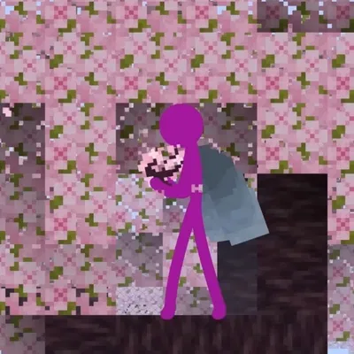 Purple ! || AvA/M