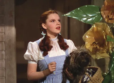 Dorothy Gale