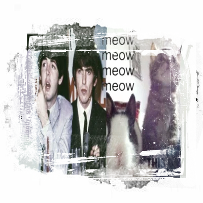 ༦། ུ༢    ⠀⠀Paul⠀ ᐩ ⠀George  ‿   ·   🐇🐈