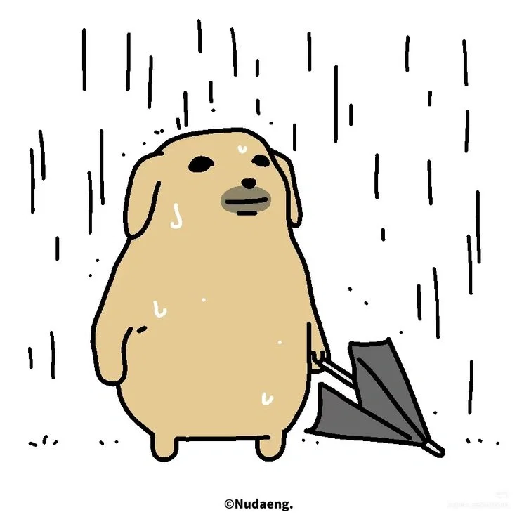 Update