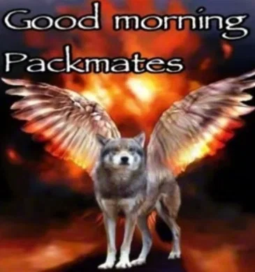 Morning