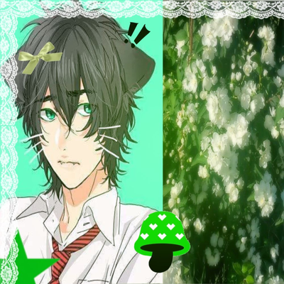 Toru Fujisaki