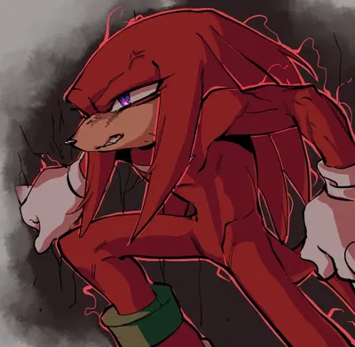 ꧁༺Knuckles the Echidna༻꧂