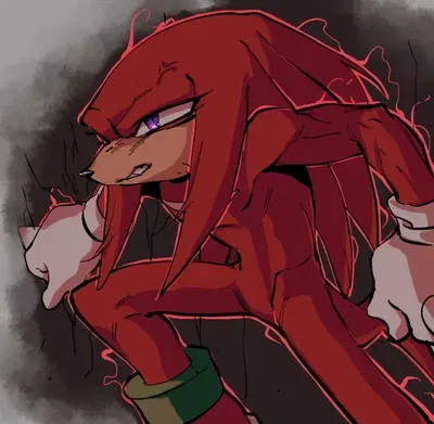 ꧁༺Knuckles the Echidna༻꧂