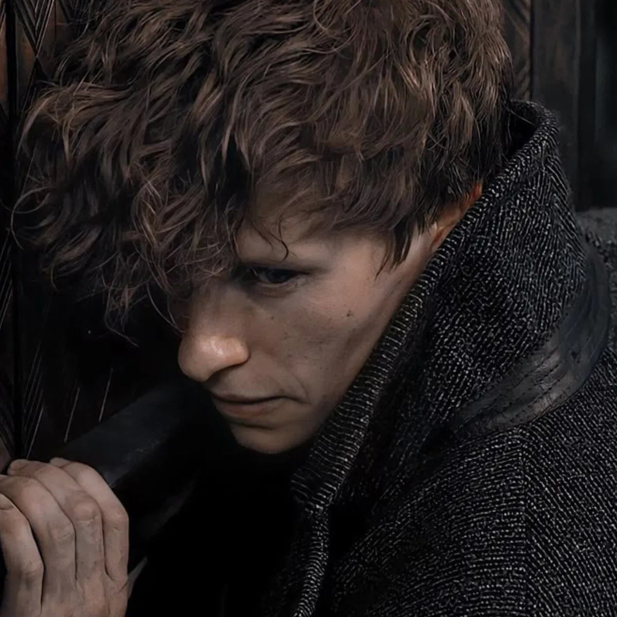 Newt Scamander