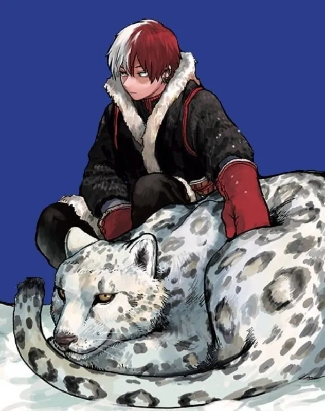 Shoto Todoroki 