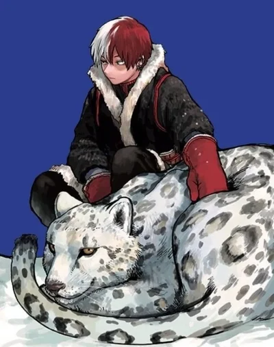 Shoto Todoroki 