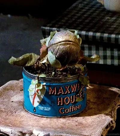 AUDREY II