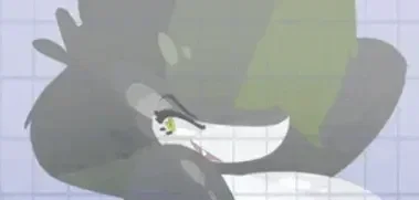 Noir the Shark